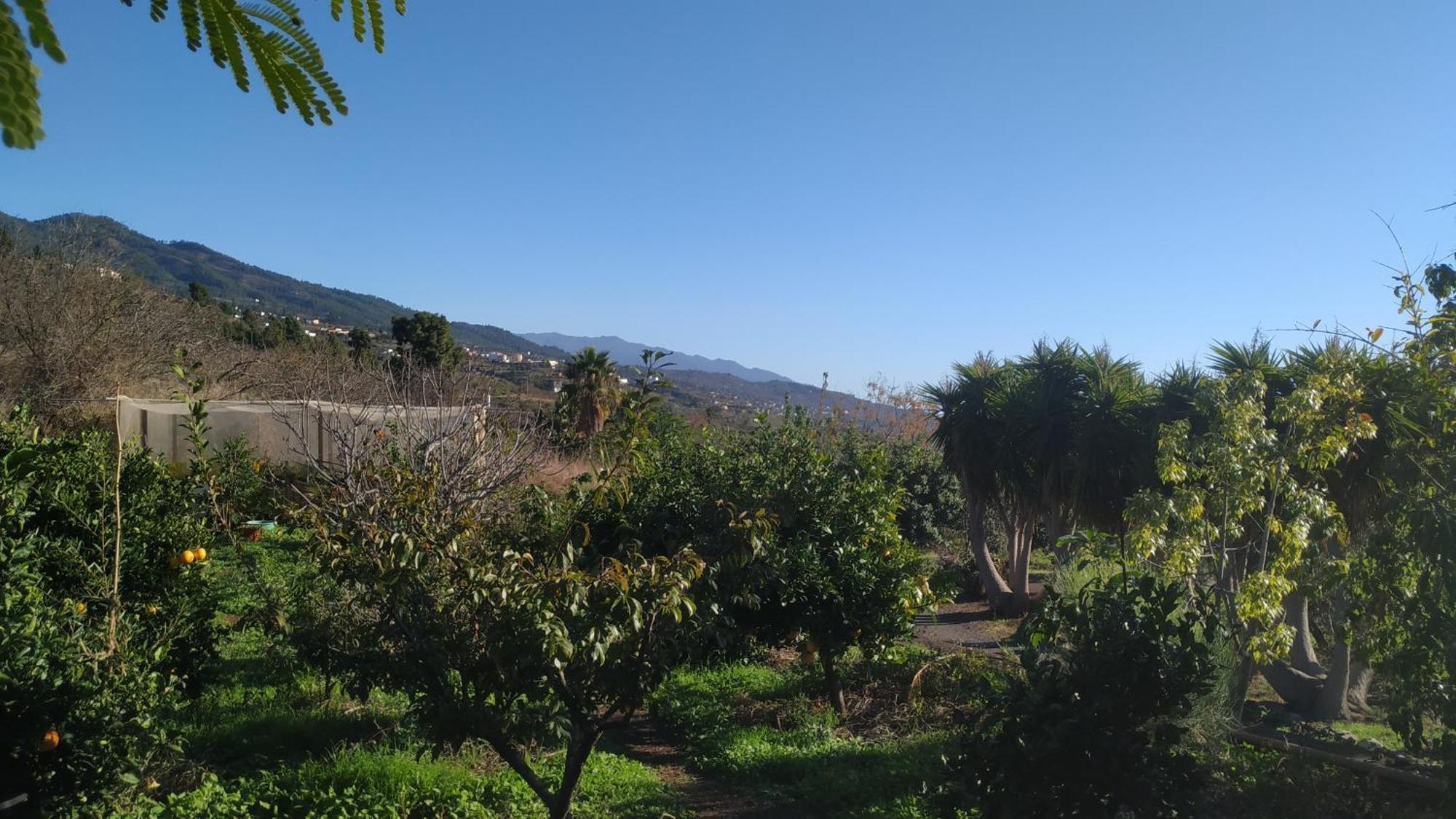 Finca Panorama Tijarafe Exterior photo