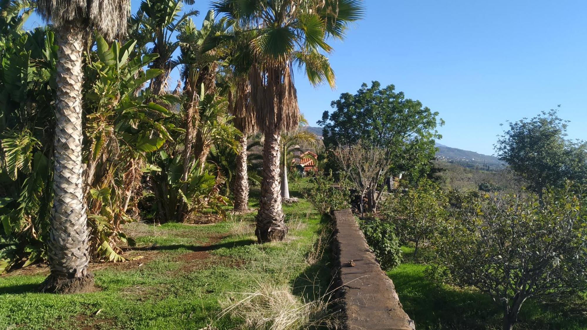 Finca Panorama Tijarafe Exterior photo